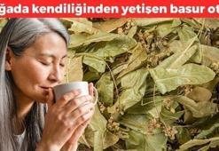 Basura en doğal çözüm ondaymış! Neredeyse her evde var, kalbi koruyup damarları genişletiyor! 1 kaşık balla karıştırmak yetiyor, ağrıyı anında kesiyor!