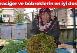 Karaciğere resmen reset atıyor! Doğada kendi kendine yetişiyor: Kan şekerini terazi gibi dengeliyor, böbrekleri yeniden doğmuş gibi yapıyor!