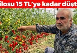 Kilosu tarlada 15 TL ama markette 70 TL'den satılıyor! Suyunu bardak bardak içince kolesterolü damardan kazıyor, doğanın C vitamini kralı
