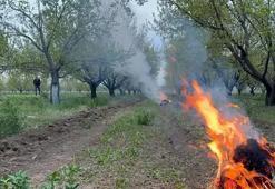Zirai dona karşı 'bahçede ateş' önlemi