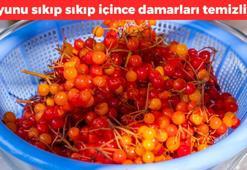 Sıkıp sıkıp için! Böbrek taşlarını ceviz gibi kırıyor: Buruş buruş damarları açıyor, kan dolaşımını hızlandırıyor