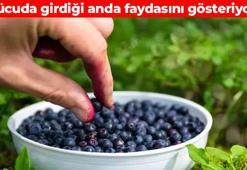 Bilim dünyasının konuştuğu süper besin! Kan dolaşımını hızlandırıp damar esnekliğini artırıyor