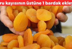 Kuru kayısının üstüne 1 bardak ekleyin! Kolesterol emilimine destek oluyor: Kanı pıhtılaştırıp kabızlığın kökünü kurutuyor