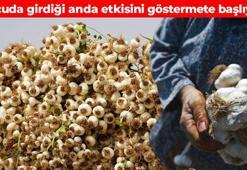 AB tarafından tescil almıştı! Ünü ülke sınırlarını aştı: Damarları foşur foşur temizliyor, kalbi kuvvetlendiriyor