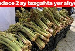 Hakkari dağlarında kendi kendine yetişiyor, toplaması çok zahmetli! Destesi 100 TL: Tıkalı damarları yağ çözücü gibi açıp tansiyonu ve kan şekerini dengeliyor!