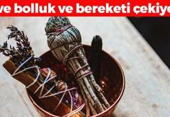 Eve anında bolluk ve bereketi çekiyor! 1 parça kullanmak yetiyor: Parayı mıknatıs gibi çekip haneden bolluğu eksik etmiyor!