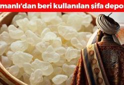 Osmanlı'da her tatlıya atılıyordu! Gaz, şişkinlik ve hazımsızlığın kökünü kazıyor, boğazdaki mikrobu söktürüp öksürüğü bıçak gibi kesiyor!