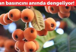 Ağaçların sarı şekeri! Kan basıncını sabitliyor: Kolesterolü sıfırlıyor, doğal şeker ilacı