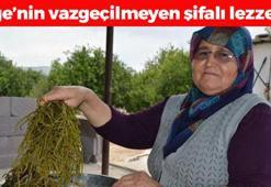 Ege mutfağının vazgeçilmezi! Haşlayıp lokma lokma yiyince bağırsakları makine gibi çalıştırıp kan yapıyor! Doğal şeker ilacı