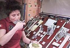 Astronotlar uzayda biftek üretecek