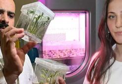 5 kişilik ekibin 5 yıldır yürüttüğü proje herkesi hayrete düşürüyor!