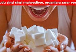 Her lokması ömrü kısaltıyor! Sindirim sistemini hasara uğratıyor: Damarları tıkayıp böbrekleri perişan ediyor