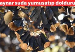 1 tencere kaynar suda yumuşatın! Kalsiyum, potasyum ve demir deposu: Kıyma ve pirinçle doldurup yiyebilirsiniz