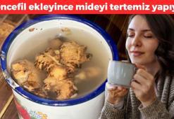 1 bardağı bile mideyi tüy gibi yapıyor! İçerisindeki şifa zencefilde saklı: Mide bulantısını anında kesiyor