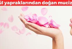 Gül yapraklarını yoğurt ve balla karıştırın! 2 hafta boyunca kullanınca göz kamaştıran etki yaratıyor: Derin kırışıklıkları ütü gibi düzleştiriyor