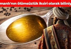 Osmanlı'nın ölümsüzlük tohumu! Gaz, şişkinlik ve hazımsızlığın kökünü kazıyıp kan şekerini anında dengeliyor! Yemeklere 2 kaşık atın