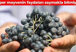 Bütün dünyada 'süper meyve' olarak biliniyor! Kan basıncını dengeliyor, kalbi koruyor, damarları temizliyor