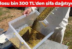 B12 ve demire zirve yaptırıyor! Hasadı başladı, kilosu bin 300 TL: Her gün 1 tatlı kaşığı yiyince erkenden yaşlanmayı önlüyor