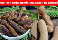 Osmanlı'nın doğal demir ilacı! 1 bardağı tıkalı bağırsakları boşaltıp demir depolarını fullüyor, kan şekerini terazi gibi dengeliyor!