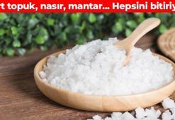 Topuktaki çatlağı kökten bitiren yöntem! Pamuk gibi yumuşak ayakların sırrı: Ne mantar kalıyor ne nasır