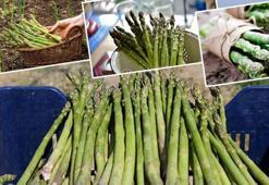 Sebze değil resmen doğal ilaç! Kemiklere çelik gibi güç kazandırıyor: Hormonları saniyesinde dengeliyor, C ve K vitamini deposu