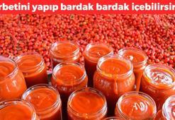 Dizdeki sıvı kaybını durduruyor! Uyanır uyanmaz 1 bardak için: Kemikleri beton gibi yapıyor