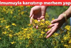 Balmumuyla karıştırıp merhemini yapın! Egzama, mantar ve sedefin kökünü kurutuyor, hücreleri yeniliyor