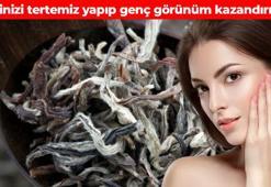 Cildinizi içten güzelleştirin! Kahverengi lekeleri ve kırışıklığı tarihe karıştırıyor: Cilt bariyerini beton gibi yapıyor