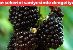 Şimdi tam mevsimi! Diyetisyenlerin favorisi: Şeker hastalığını önlüyor, kanı temizleyip demir yüklemesi yapıyor