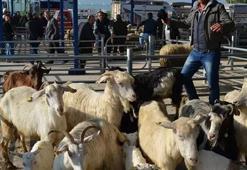 Balıkesir'de 15 mahallede karantina uygulaması başladı