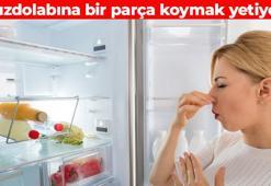 Meğer ev hanımları buzdolabına koyuyormuş! Kötü kokuyu vakum gibi çekiyor, bakterilerin kökünü kazıyor