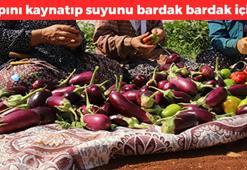 Sapını kaynatıp suyunu için! Basurun doğal ilacı: 1 hafta boyunca içince hemoroidi tarihe karıştırıyor