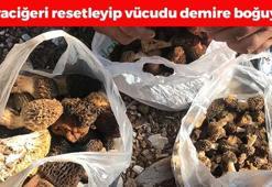 Antalya'da sezonu başladı, kilosu 250 TL'den kapış kapış satılıyor! Karaciğeri resetleyip vücuda demir yüklüyor! Tıkalı damar yollarını anında açıyor