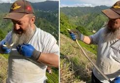 Tuttuğu yılanın önce güzelliğini anlattı, sonra kolye gibi boynuna doladı