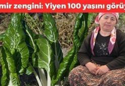 D vitamini zengini, demir eksikliğini önlüyor! Demeti 30 lira: Yiyen 100 yaşını görüyor