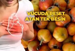 Toros Dağları'nın gizli şifa deposu! Portakaldan 10 kat fazla C vitamini var, vücuda reset atan tek besin