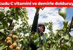 Mut'ta hasadı başladı, kilosu 70 TL! Bağırsakları makine gibi çalıştırıp vücudu C vitamini ve demire boğuyor
