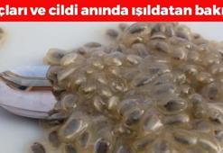 Egzama, kepek ve kuruluğun kökünü kazıyor! Saçları ve cildi anında canlandırıp ışıl ışıl parlatıyor, tek gecede 10 yaş birden gençleştiriyor!
