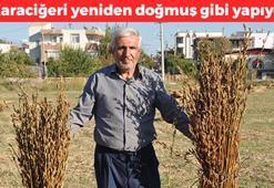 Ekleyebildiğiniz her şeye kaşık kaşık ekleyin! Kemikleri beton gibi yapıyor: Kalbin tıkır tıkır çalışmasını sağlıyor, vücudu dipçik gibi yapıyor