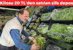 Salatanızın içine demet demet ekleyin! Manavda 20 TL’den satılıyor: İltihabın kökünü kurutuyor, vücuda detoks yaptıran en faydalı besin