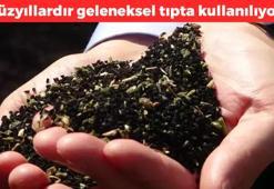 Yüzyıllardır geleneksel tıpta kullanılıyor! Doğal sindirim ilacı olarak biliniyor: Vücuttaki iltihabı kazıyarak atıyor, hormonları dengeliyor