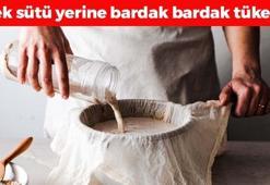 İnek sütünden daha faydalı, bardak bardak için! Kemikleri beton gibi güçlendirip kalp damarlarını açıyor, kan şekerini anında dengeliyor!