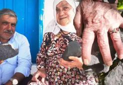 Anneler günü hediyesi gökten geldi! Büyük bir ateş parçası bahçesine düştü