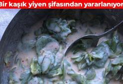 Türkiye'nin verimli topraklarında yetişiyor! Yoğurtla karıştırıp kaşık kaşık yiyin: İnsülinü anında dengeliyor, kötü kolesterolü yerle bir ediyor