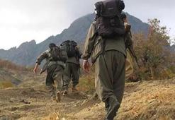 Terör örgütü PKK fesih kararını duyurdu