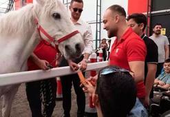 Özel çocuklar ve atlar arasında gönül köprüleri kuruldu!