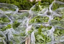 Organlara reset atan süper besin! Demir depolarını tıka basa dolduruyor: Doğal idrar söktürücü