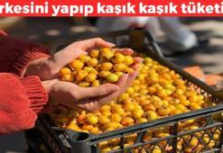 Çalıların arasında kendiliğinden yetişiyor! Sirkesini yapıp kaşık kaşık yiyin: Zararlı plak birikimini önlüyor, damar sertleşmesini gideriyor