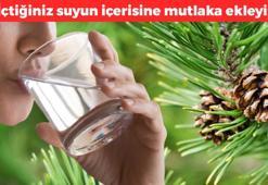 İçtiğiniz suya bir parça ekleyin! En faydalı detoks yöntemi: Buruş buruş damarları saniyesinde genişletiyor, toksinleri vücuttan temizliyor