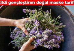 Asırlardır cildi güzelleştiren tarif! Yüzde 100 doğal nemlendirici: Kahverengi lekelerin kökünü kazıyor, kırışıklıkları silgi gibi siliyor